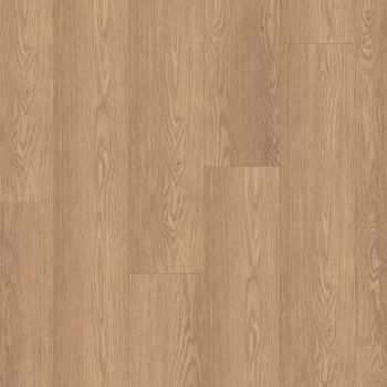 Authentic Intuition <br> Baronia Marron