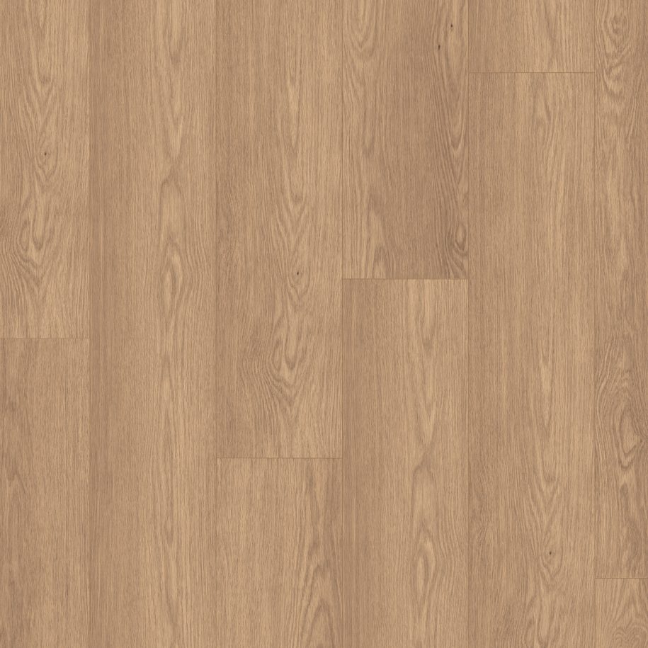 Authentic Intuition <br> Baronia Marron