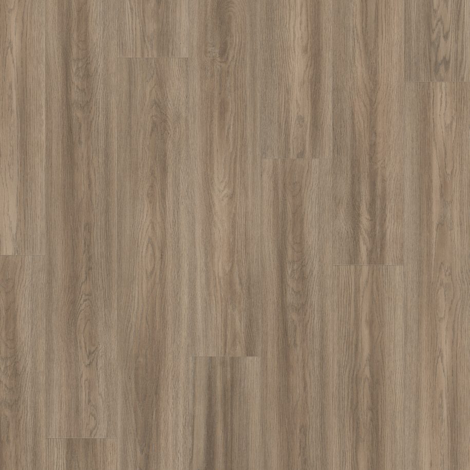 Authentic Intuition <br> Soria Gris