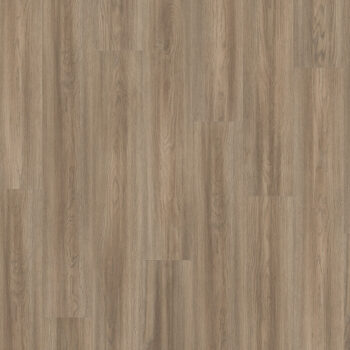 Authentic Horizon <br> Soria Gris