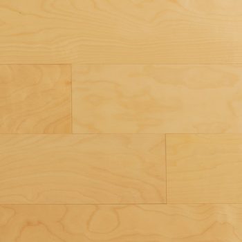 Baulon <br />Maple birch