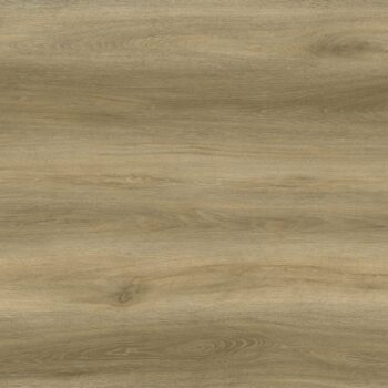 Evolution Origin <br />Wheat