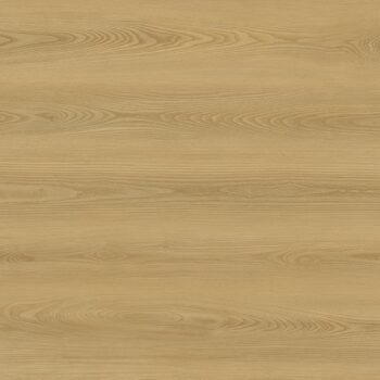 Evolution Serie Rise <br />Corvi<br>