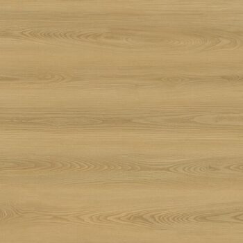 Evolution Rise Serie&nbsp;<br />Corvi<br>