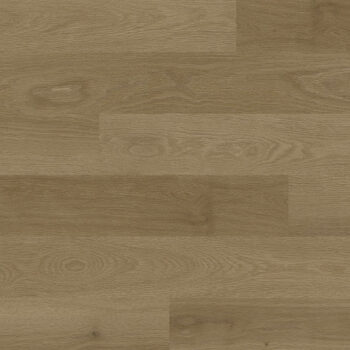 Evolution Serie Rise <br />Lacerta<br>