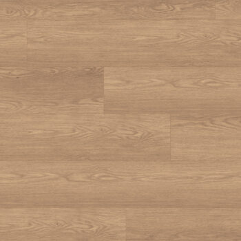 Authentic Intuition <br> Baronia Marron