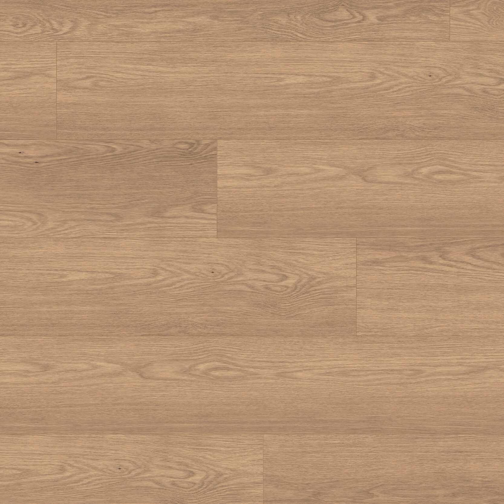 Authentic Intuition <br> Baronia Marron