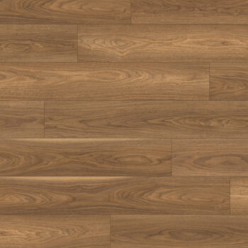 Authentic Intuition <br>Baronia Walnut