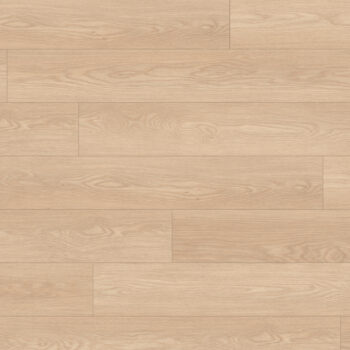 Authentic Intuition <br> Baronia Sable