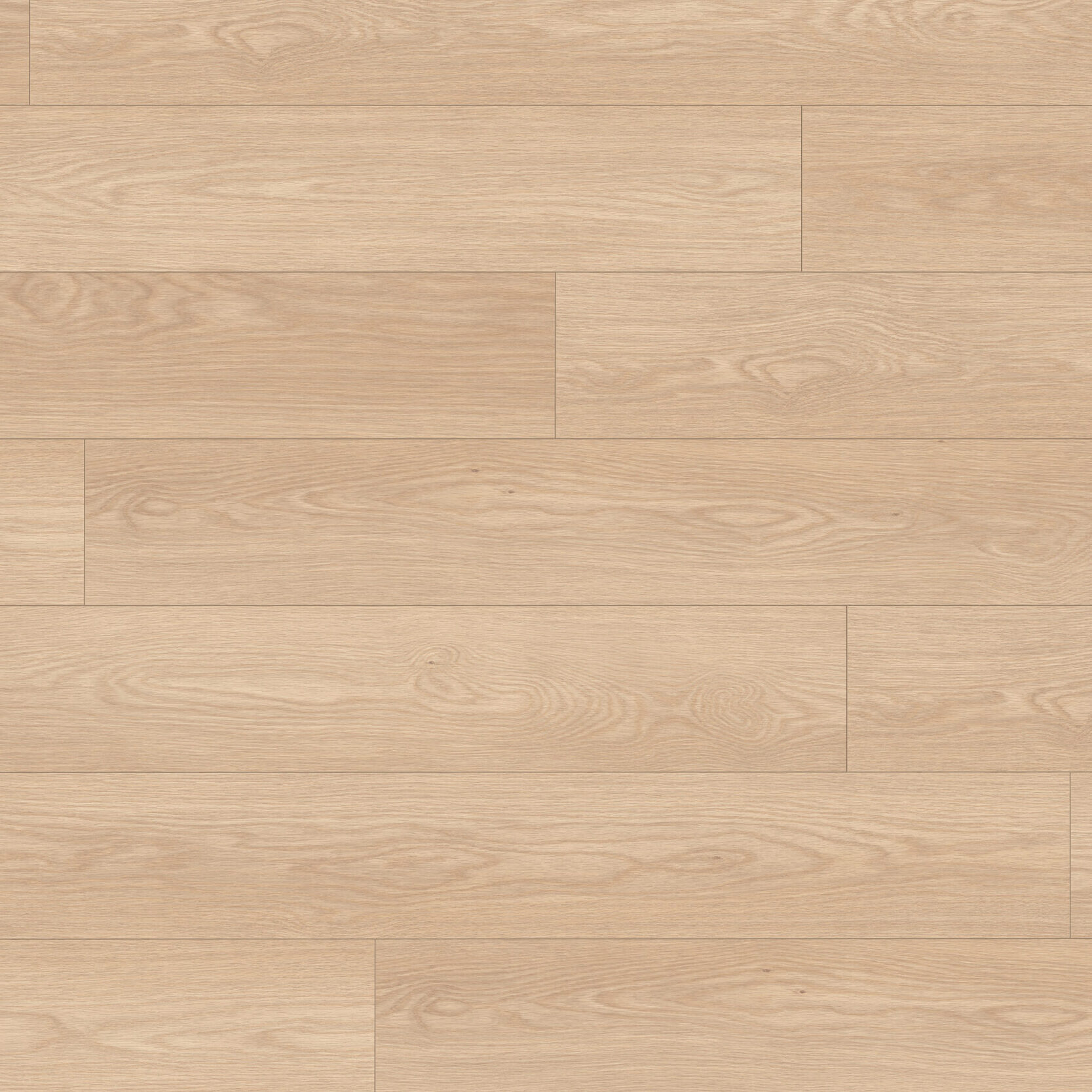 Authentic Intuition <br>Baronia Sand