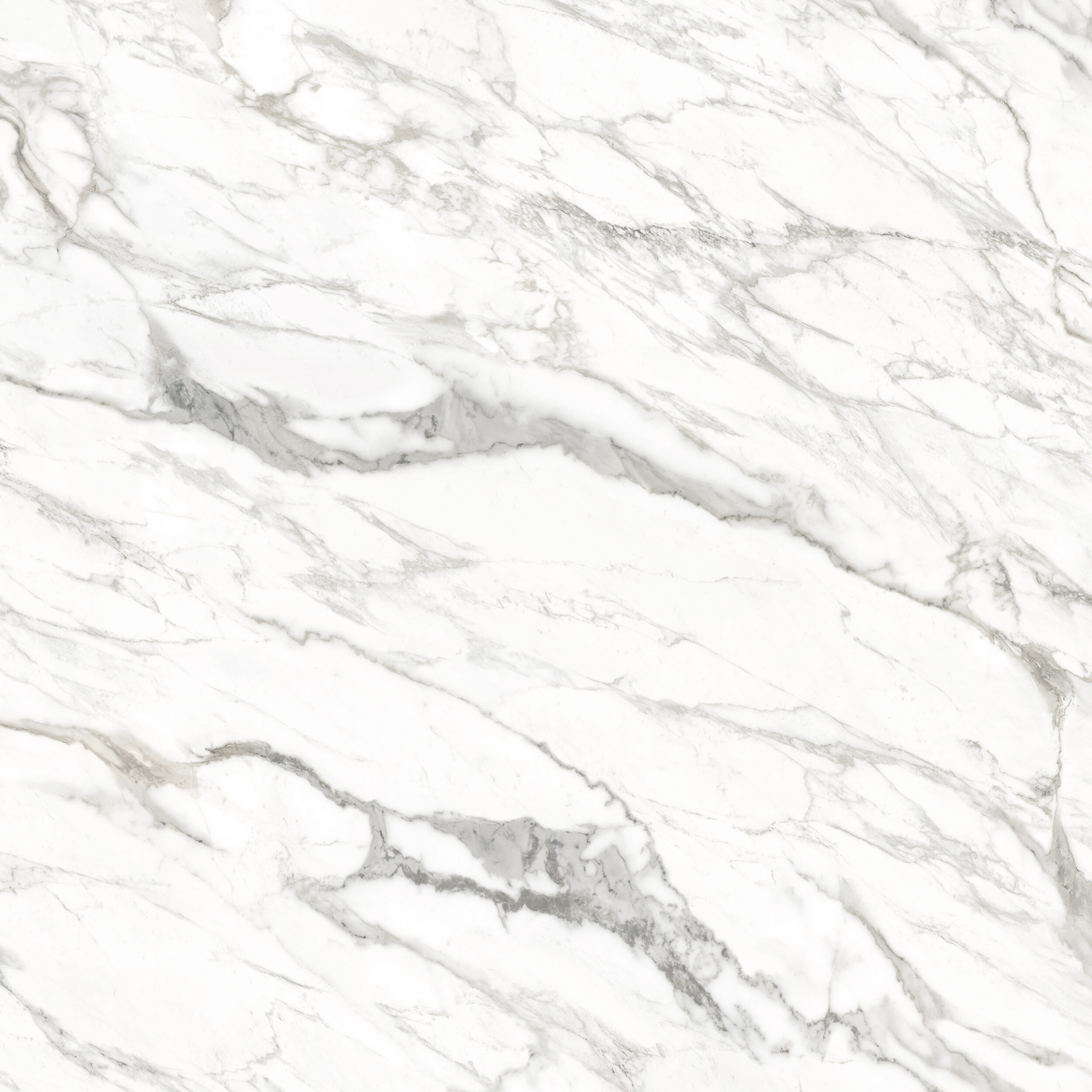 Evolution Rise + <br> Calacatta Gris