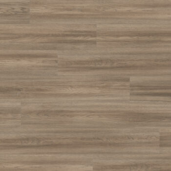 Authentic Intuition <br> Soria Gris