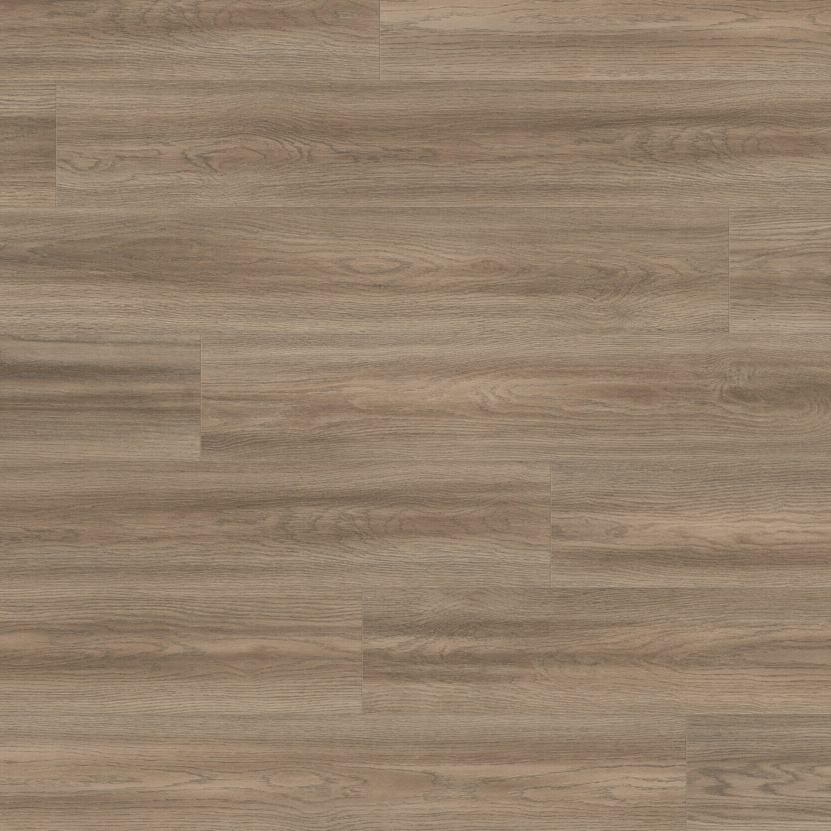 Authentic Intuition <br> Soria Gris