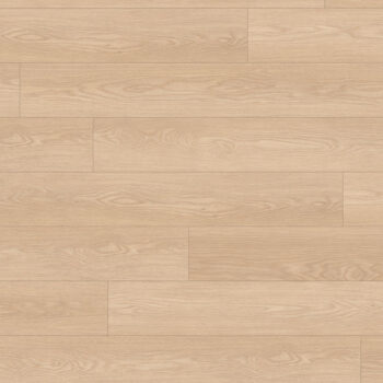 Authentic Horizon <br> Baronia Sable<br>