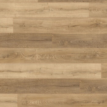 Authentic Horizon <br> Livingston Natural<br>