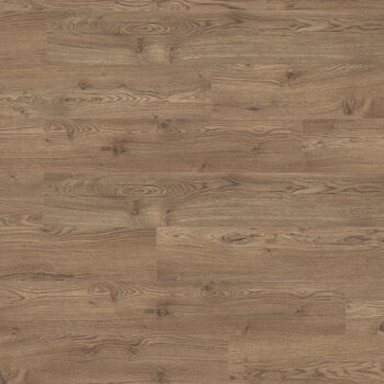 Authentic Horizon <br> Olchon Fumé <br>