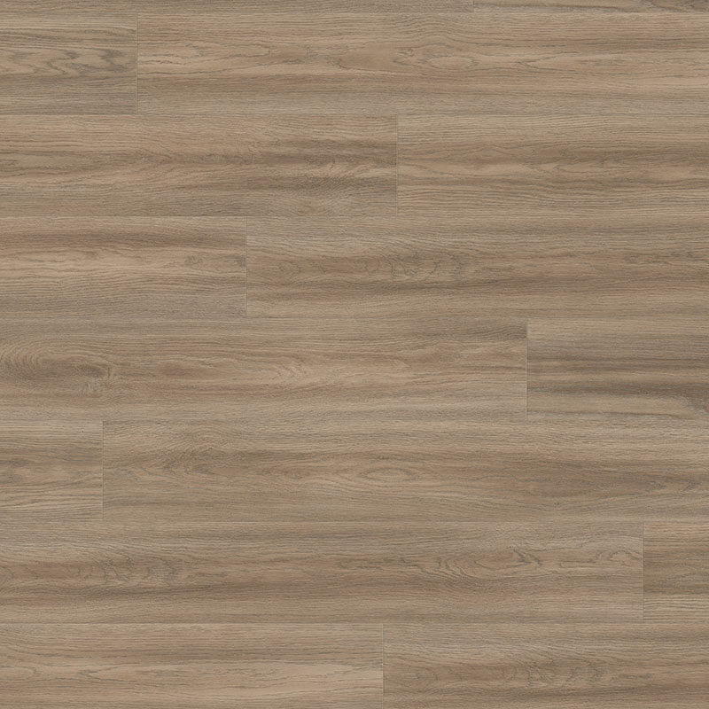 Authentic Horizon <br> Soria Grey<br>