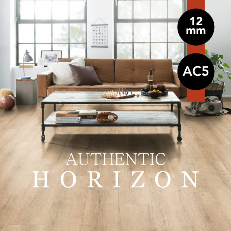 Authentic horizon