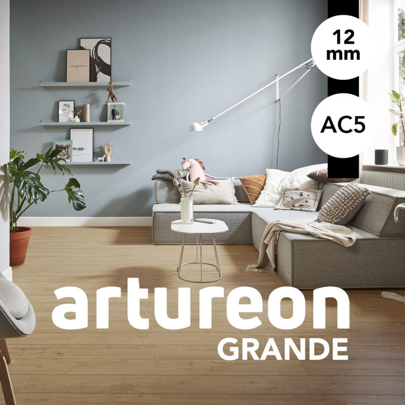 Couverture Artureon grande