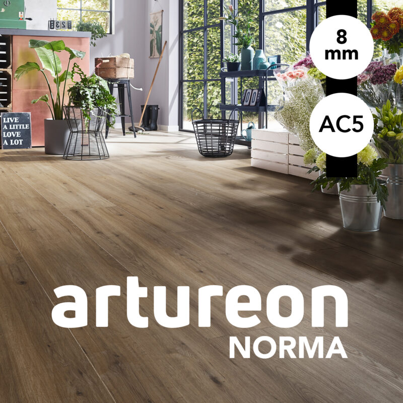 Couverture Artureon norma