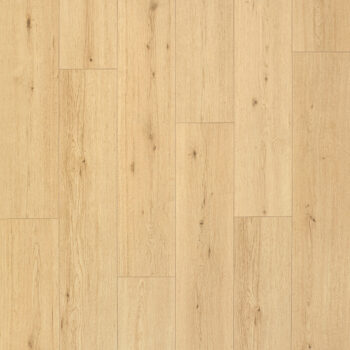 Artureon Norma <br/> Chêne Disentis