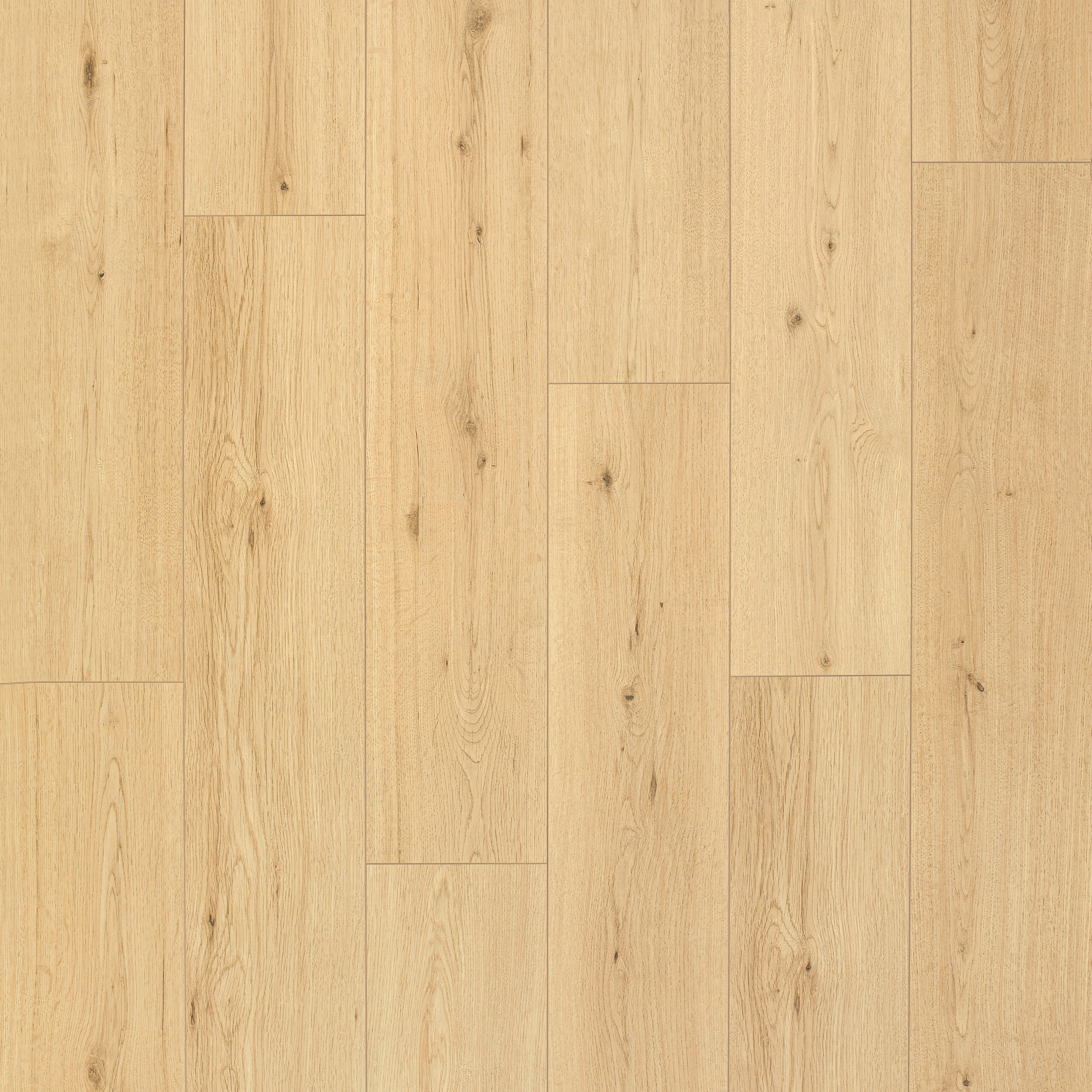 Artureon Norma <br/> Chêne Disentis