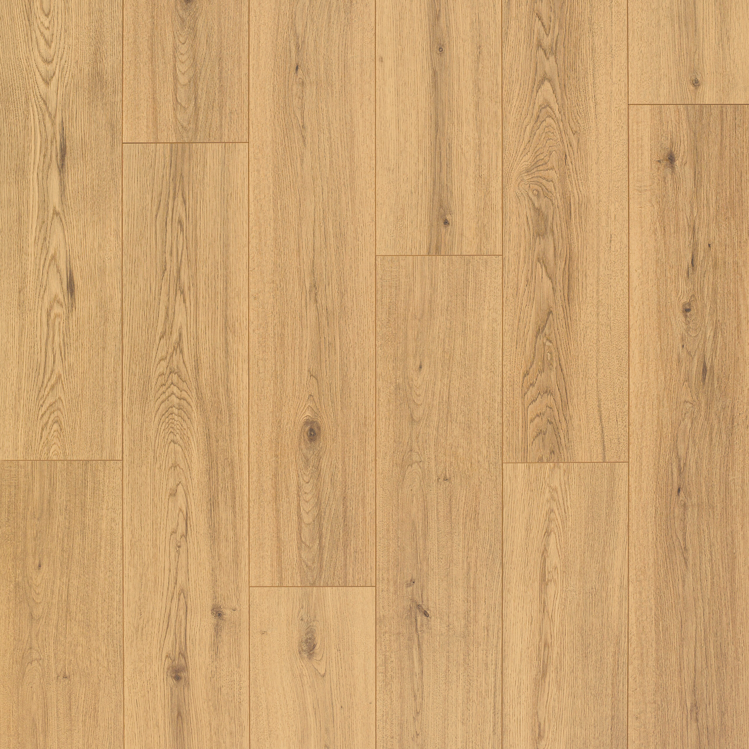 Artureon Norma <br/> Chêne Realp