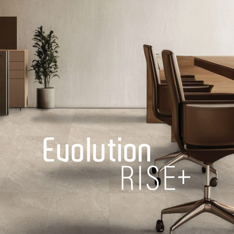 Couverture vinyle RISE+