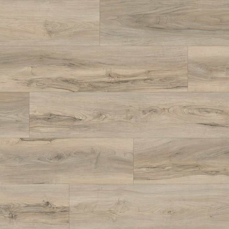 Evolution Purflex Planche <br>Cape Coral<br>À Venir