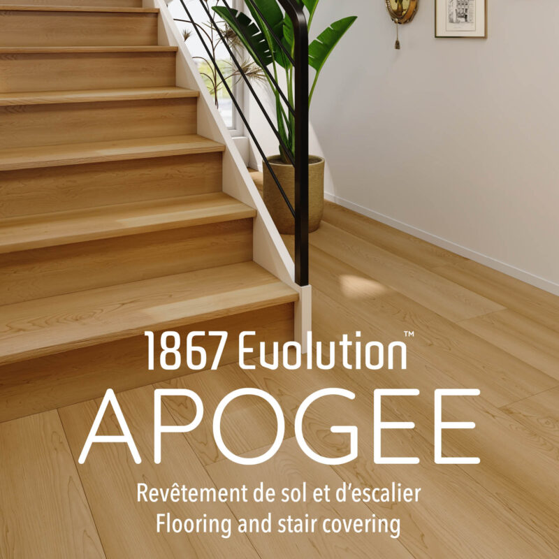 Couverture vinyleAPOGEE12